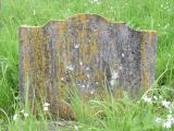 image of grave number 719764